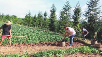 农民网红爆料视频大全最新,揭秘农村生活新视角 第2张 农民网红爆料视频大全最新,揭秘农村生活新视角 第2张